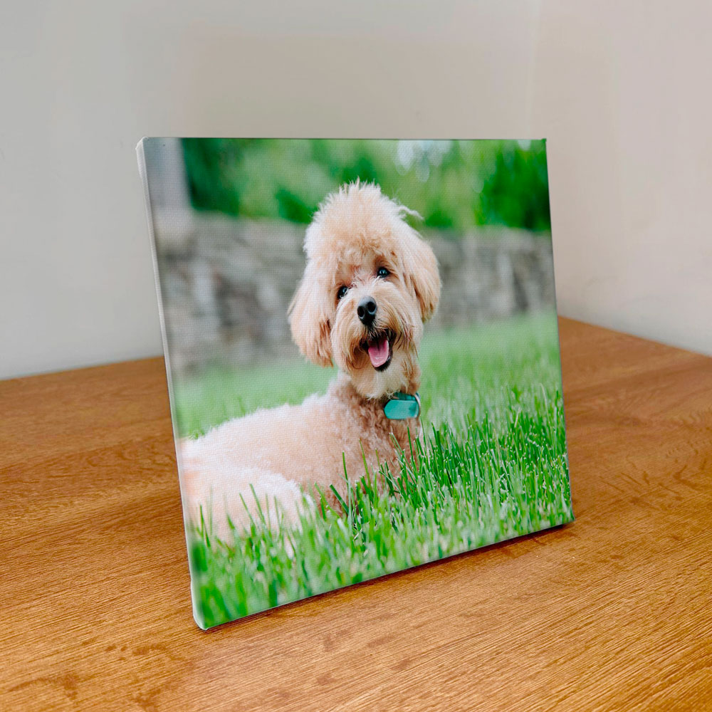 Lienzo Personalizado - 20x20